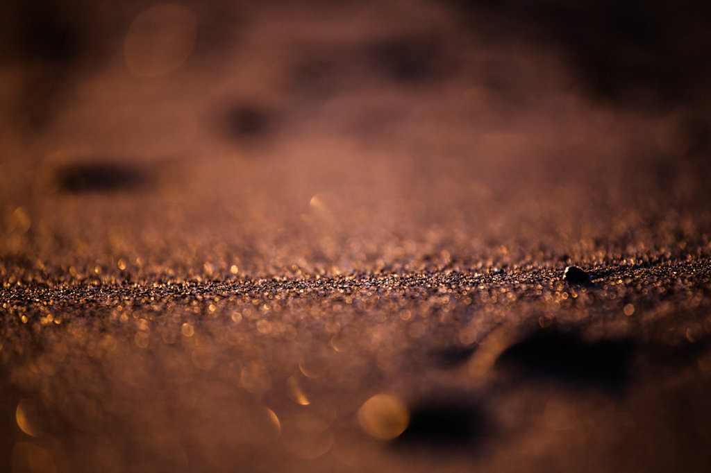 20130527-Q9A8609.jpg